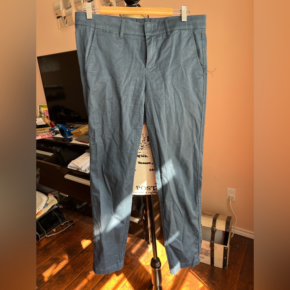 Vince pants